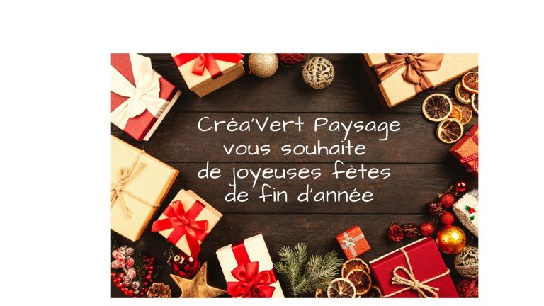 Lire la suite à propos de l’article Bonnes fêtes de fin d&rsquo;année